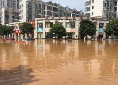 平安人寿赣州中支积极参与瑞金抗洪救灾行动