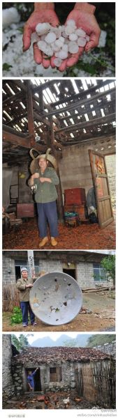 广西河池来宾等地遭遇大个冰雹袭击(图)