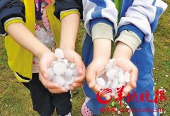 东莞遇暴雨大风冰雹8死136伤：汽车被掀翻