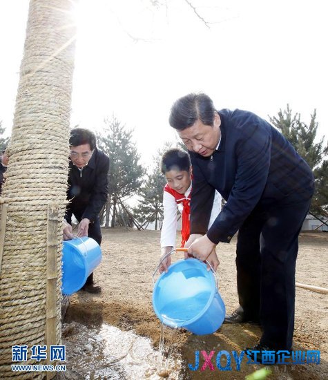 七常委集体乘车参加义务植树 习近平接连种4棵
