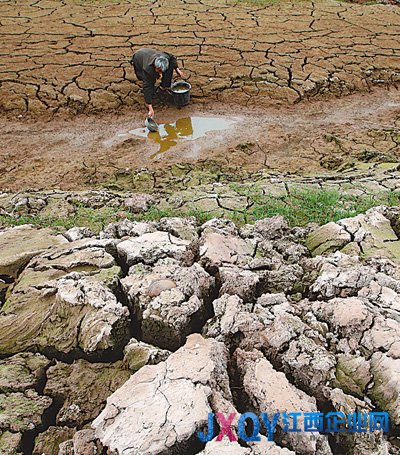 全国耕地受旱面积达1.1亿亩 600余万人饮水困难