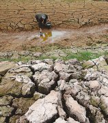 全国耕地受旱面积达1.1亿亩 600余万人饮水困难