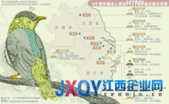 农业部：H7N9或由候鸟带入 国内未在动物中检出