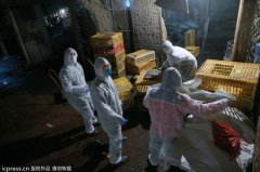 卫生部称目前疫情处于散发状态 未发现人传人