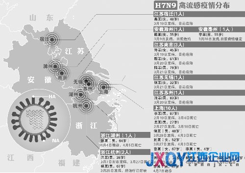 专家：过量服用板蓝根会出现溶血性疾病