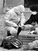 卫计委：H7N9仍处于散发状态 有信心控制疫情