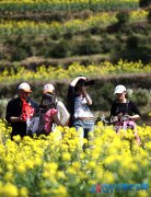 江报直播室：“赏花经济”如何摆脱“昙花一现