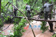 江西信丰泥石流致5女工1死4失踪 系短期强降雨诱