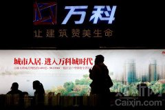 万科坚持“不拿地王”策略不动摇