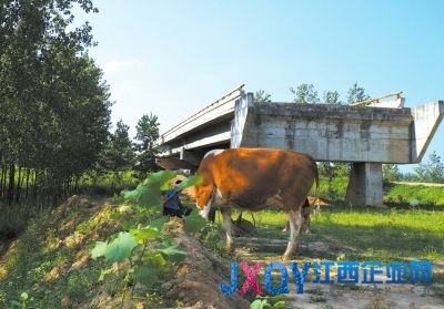 在河南省淮滨县境内，桥头接线道路工程未能实施而形成的“断头桥”8月6日摄。新华社发